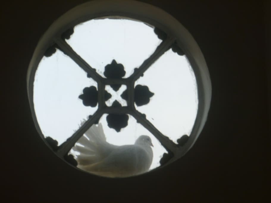 Besucherin im Rundfenster