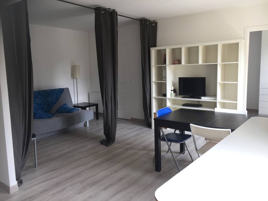 Living room with sofa bed (in privé)