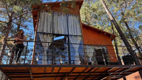Refuge in the Forest 4