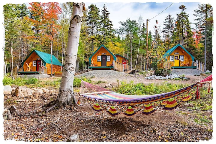 Airbnb Englishtown Vacation Rentals Places To Stay Nova