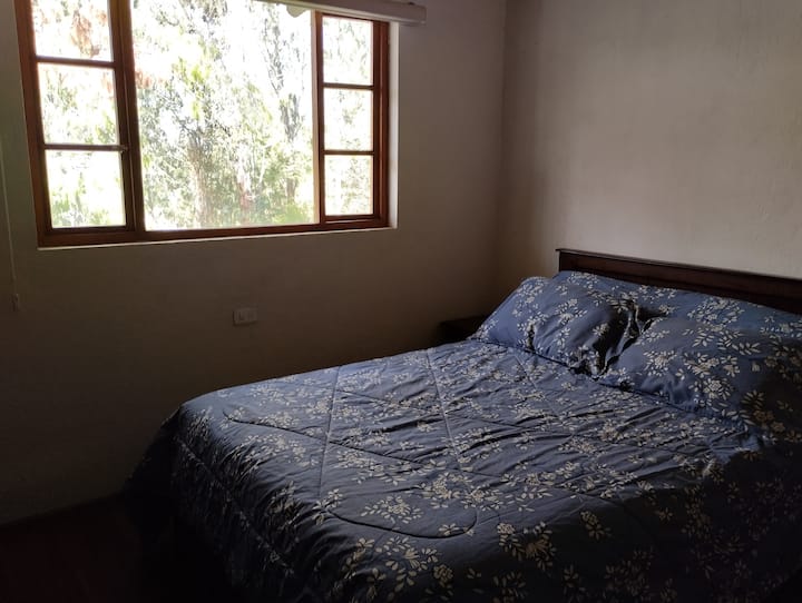 غرفة بإطلالة على الغابة