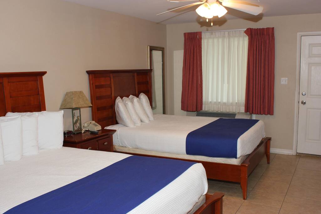 Another view of the beds in t