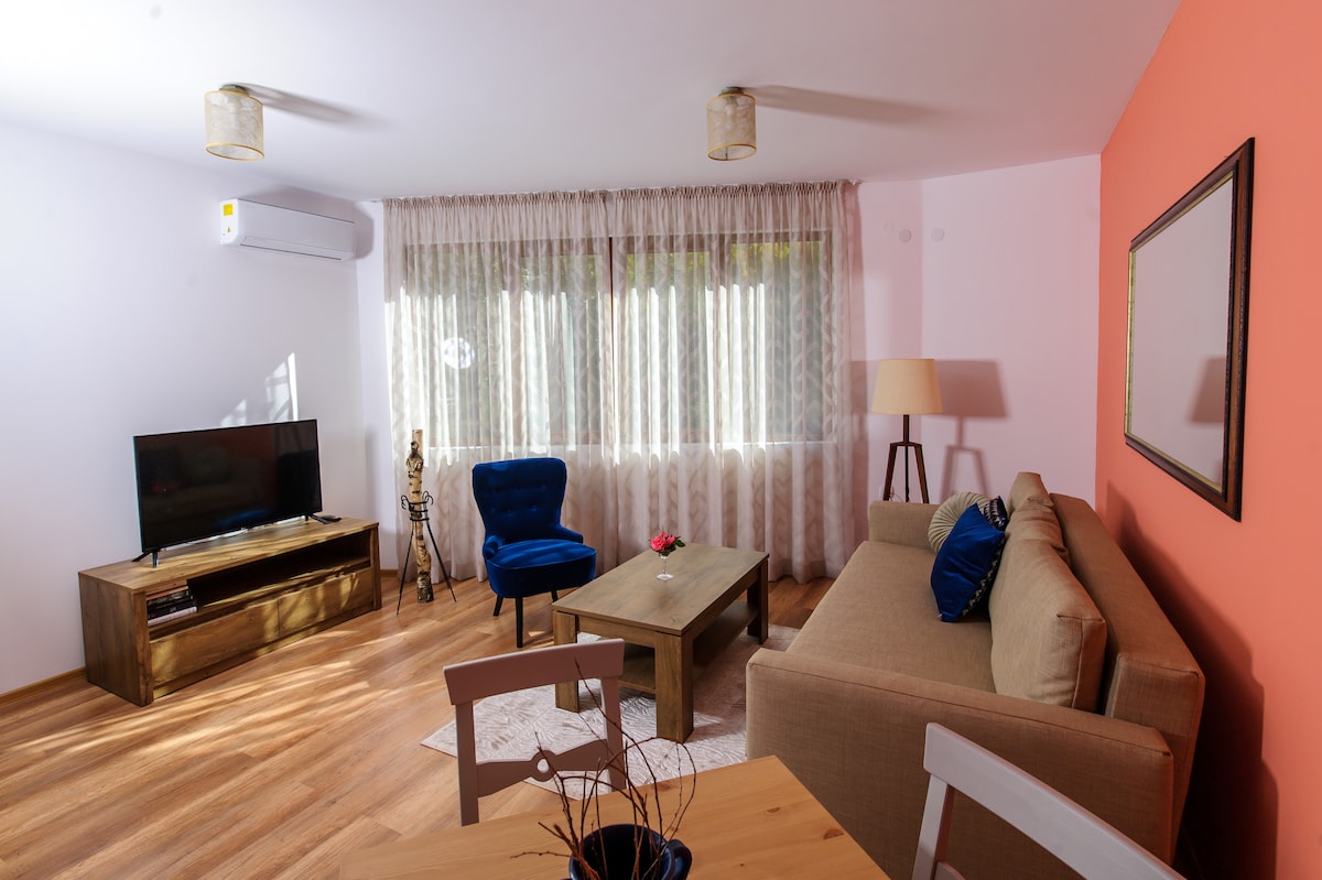 The living area features a comfortable sofa and a blue armchair, positioned around a wooden coffee table. A TV is mounted on the wall above a low cabinet. Large windows with sheer curtains allow natural light to fill the space, complemented by warm wooden flooring.