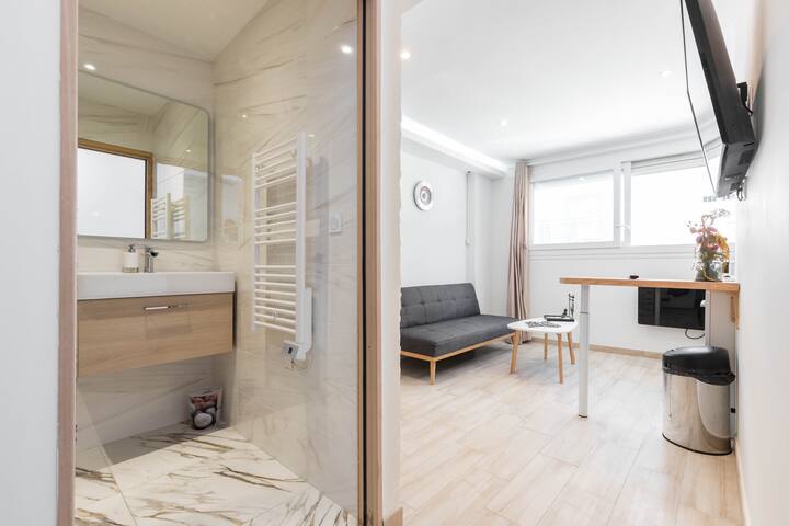 ✅AMBIANCE ZEN 🧘‍♀️2 PIECES CENTRE NICE