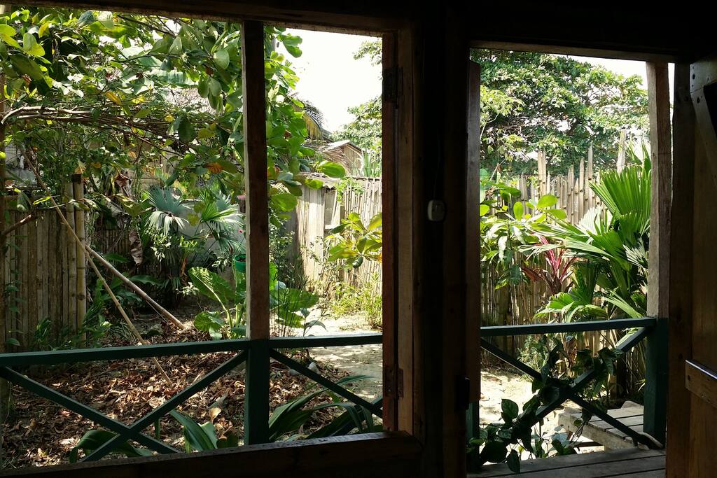 Large window and front door