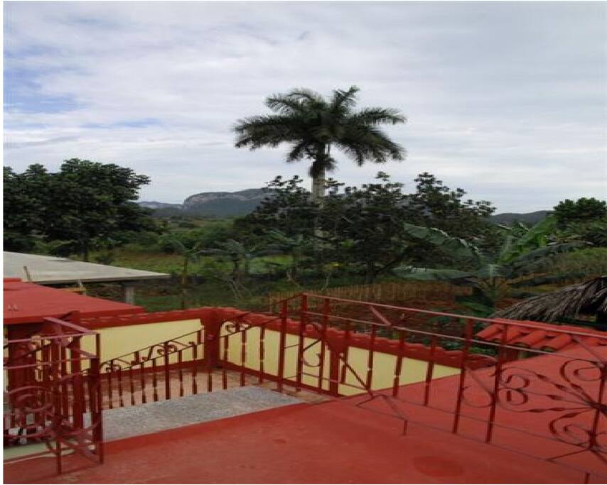 Roof Top