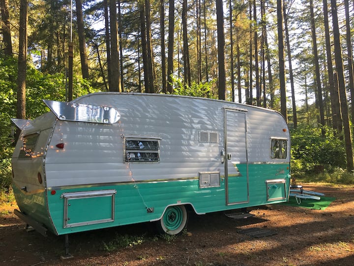 Retro RV in the Woods at Vegan Animal Sanctuary