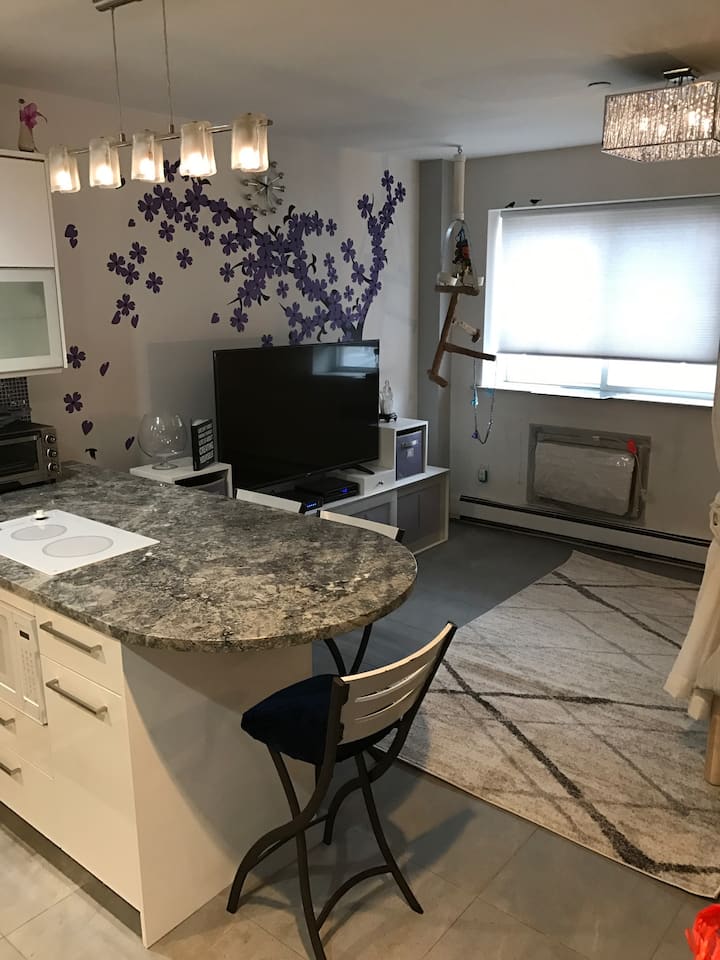 Top 10 Airbnb Vacation Rentals In Flushing, New York City Updated