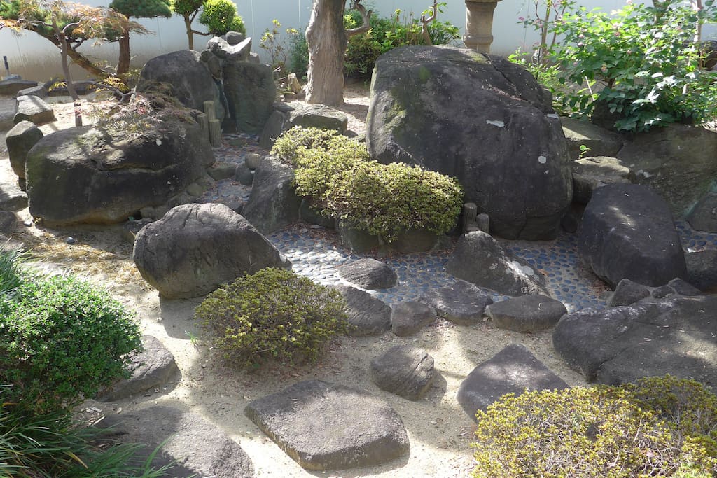 The bright and spacious garden.