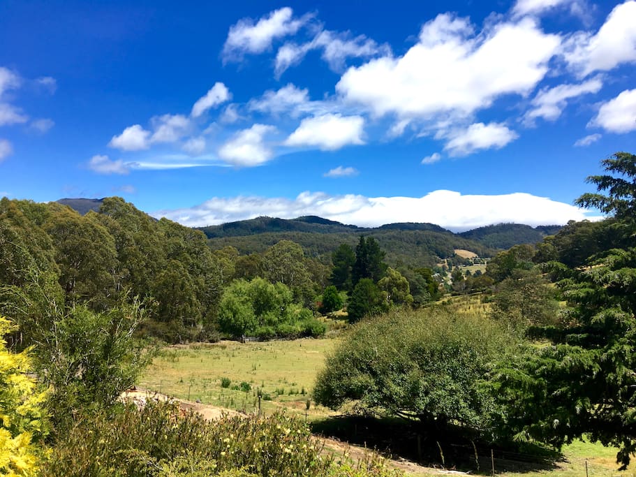View from your window