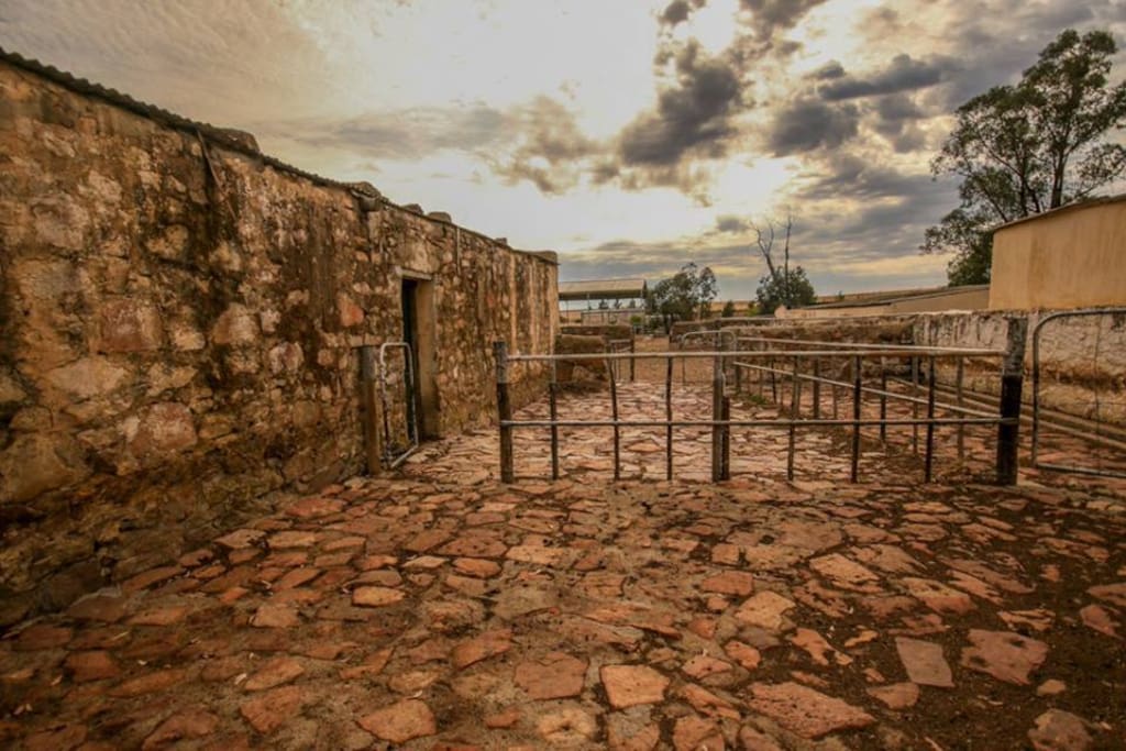 old kraal on Willemsrivier