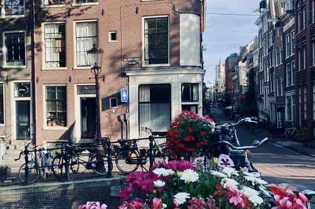 A charming street scene in the Jordaan shows several bicycles parked along a canal. Colorful flowers are prominently displayed in the foreground, contrasting with the traditional brick buildings and typical Amsterdam architecture that lines the street.