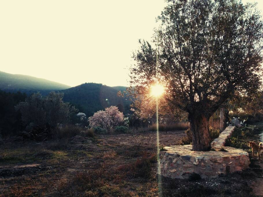 Vistas desde la casa