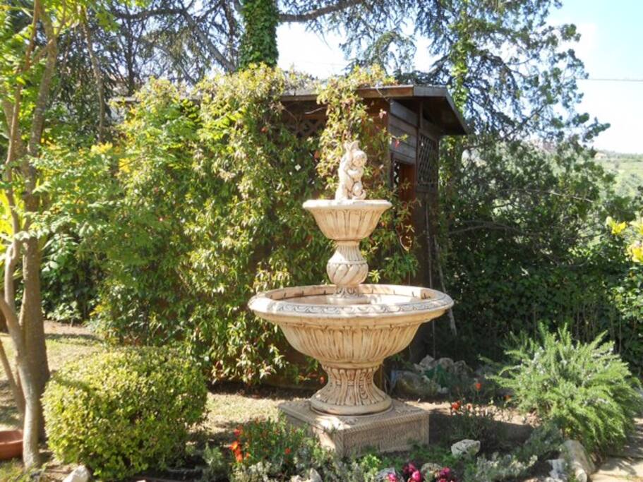 The garden
