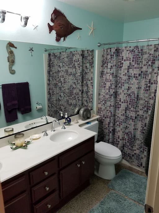 Guest bathroom
