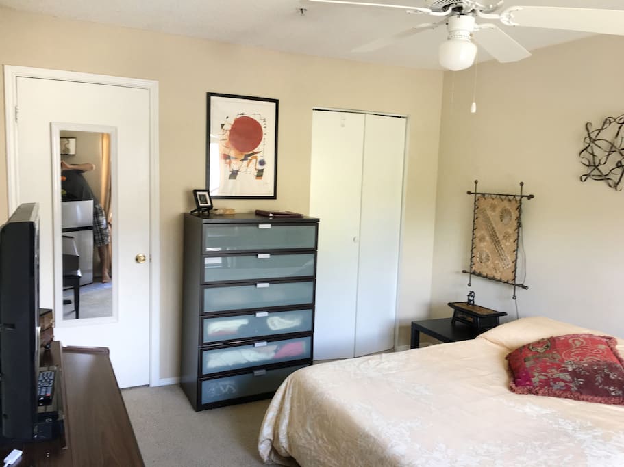 (Walk-In Closet on the right)