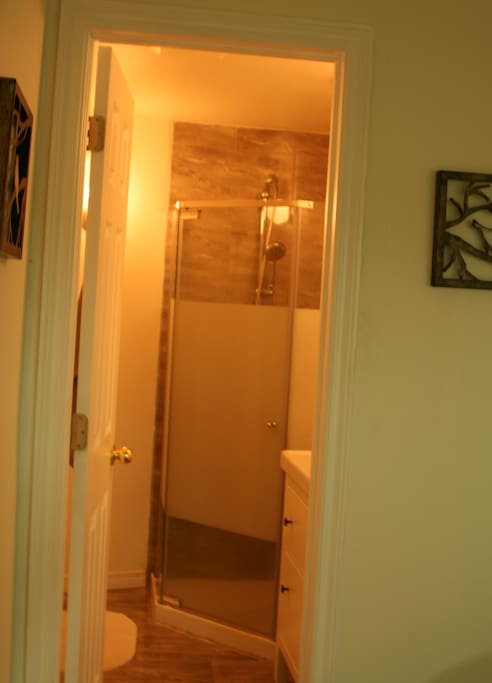 private washroom with shower