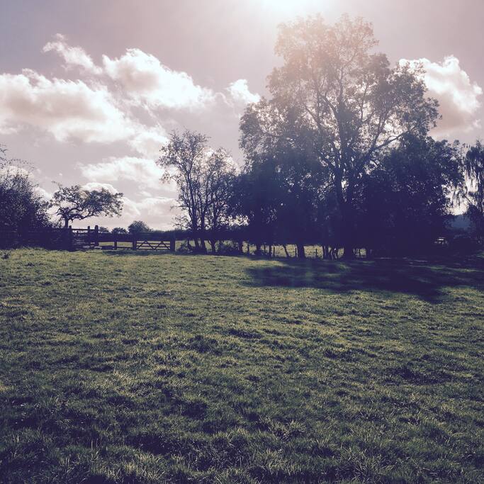 Views over the fields