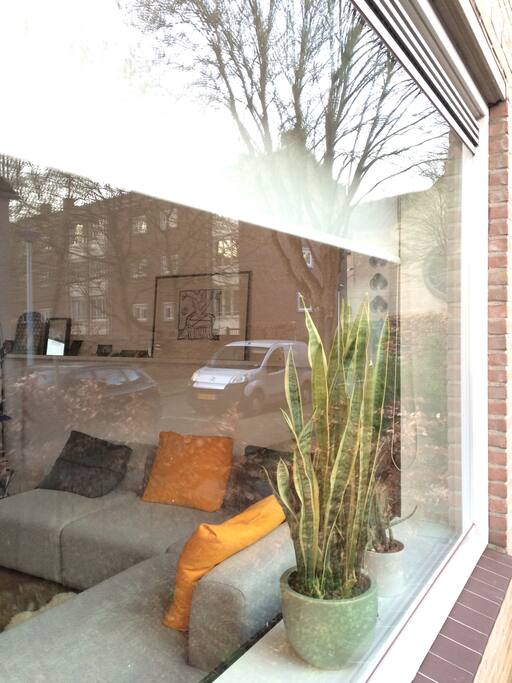 view from the street on the living room
