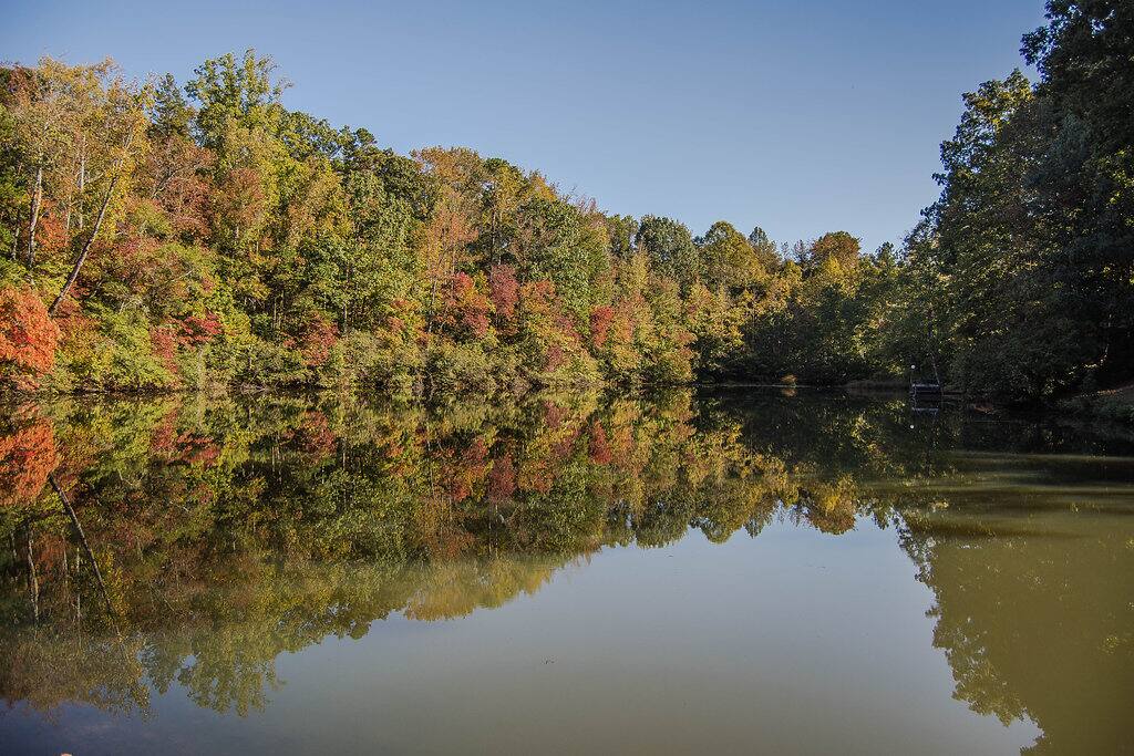Our writer's retreat is on a private lake.