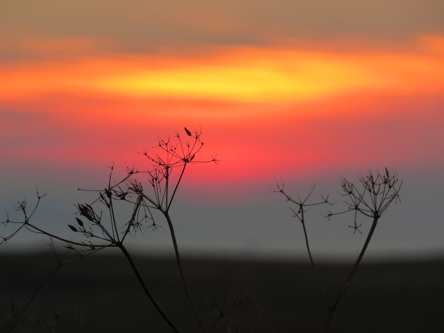 Stunning colours of the sunset