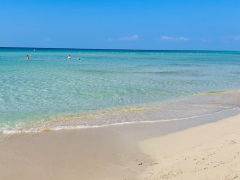 La Campagna sul Mare - The Countryside on the Sea