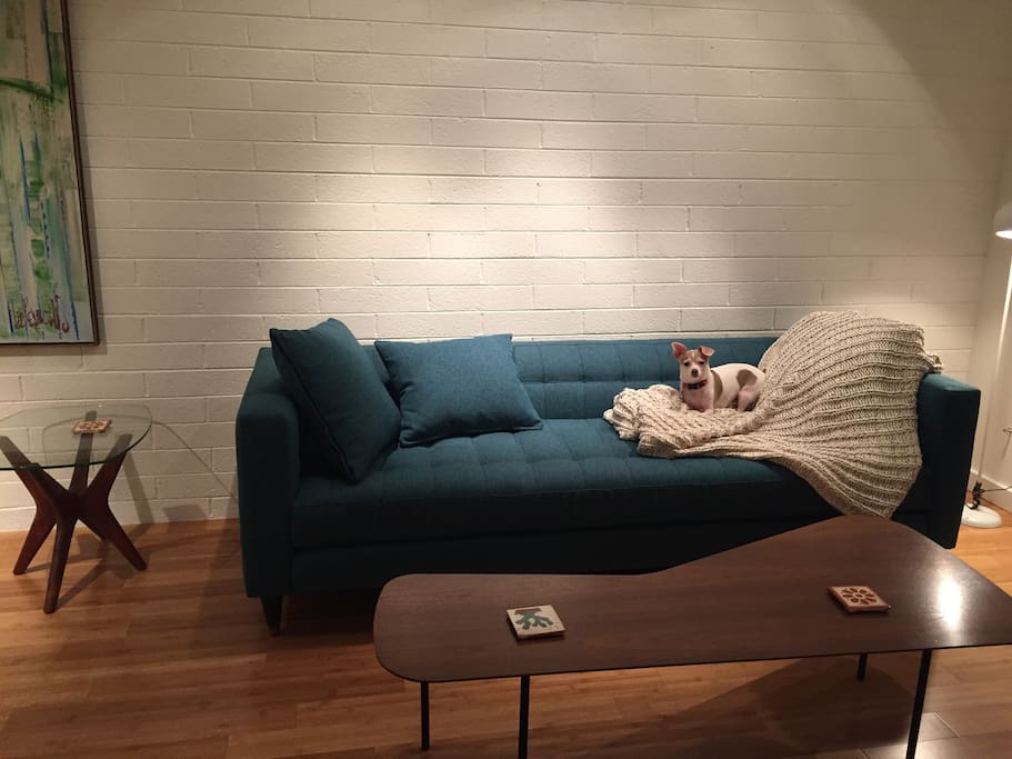 Living room (Chihuahua not included in rental)