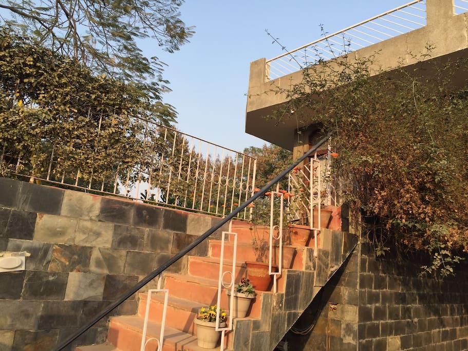 The open staircase from the drive to the high lawn.