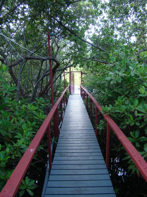 pier to the house