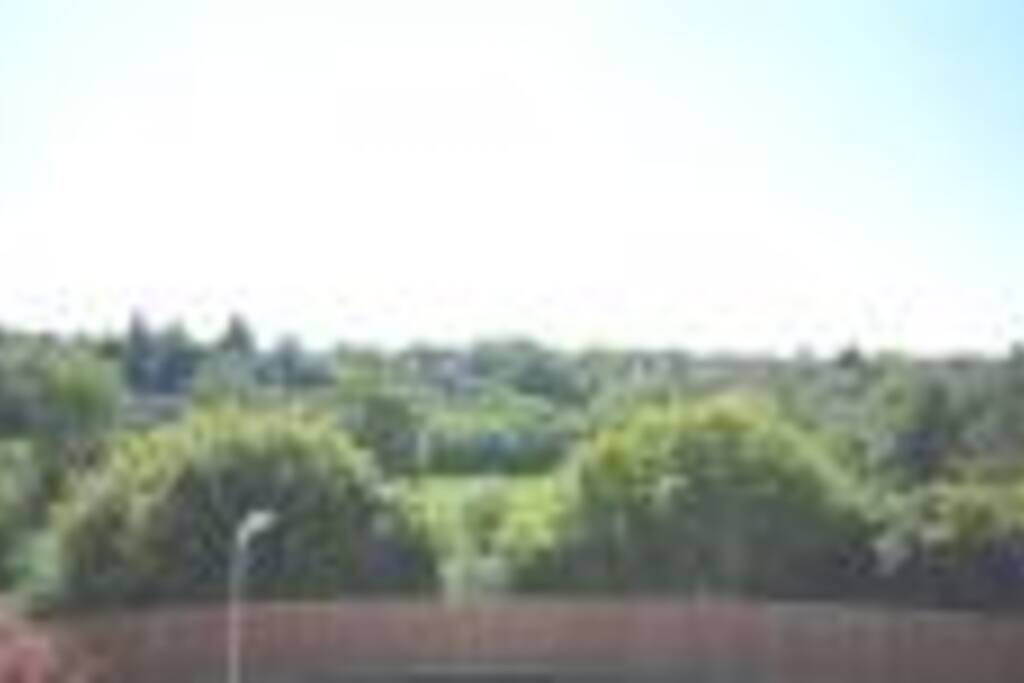 Views from Double Bedroom