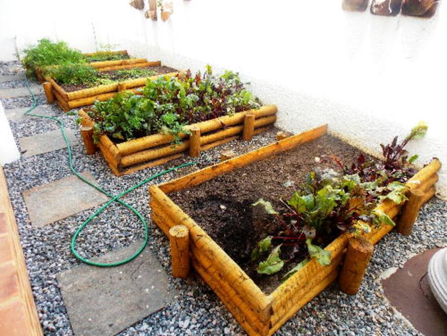 HORTA