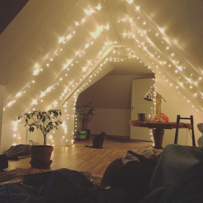 Cat Stephen checking out the new lights