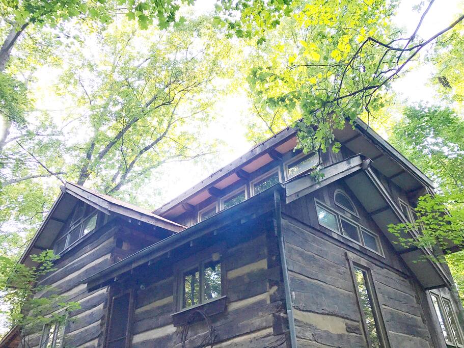 Rustic And Charming Log Cabin Deer Path Yoga Cabins For Rent
