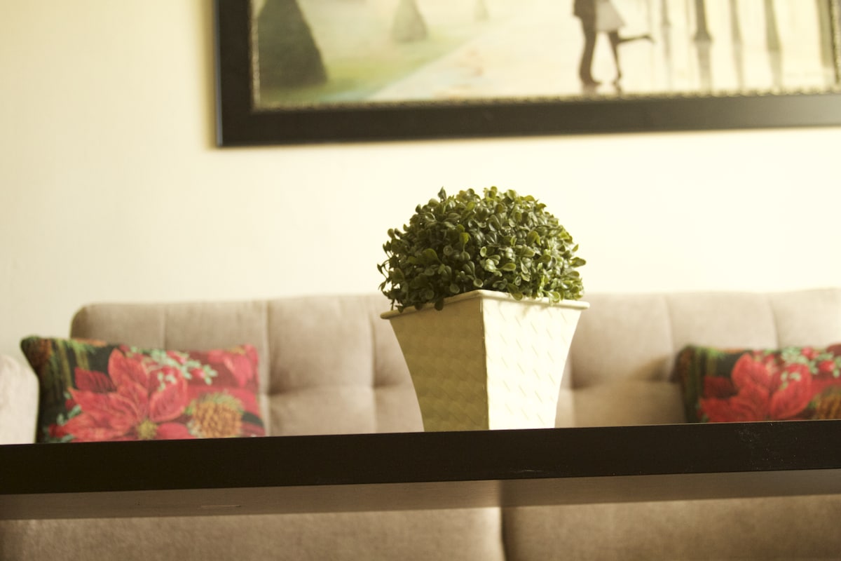 A neutral-toned coffee table is featured at the center of the living area, topped with a decorative planter displaying a small green shrub. Cushions with floral patterns decorate the comfortable sofa in the background, adding a touch of color to the space.