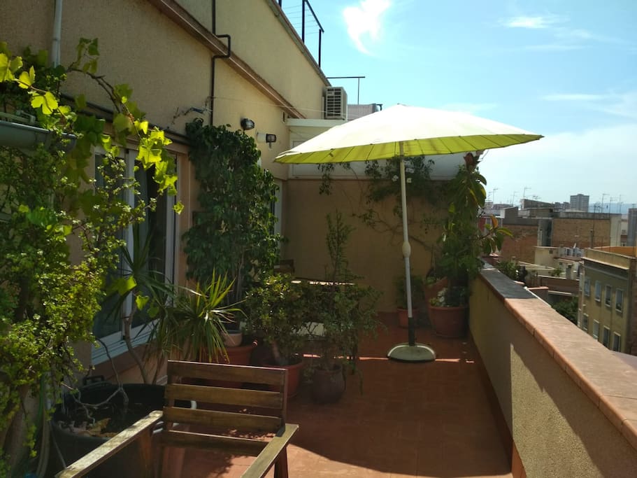 Terrace