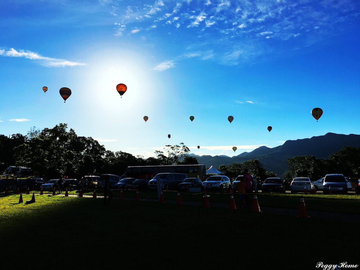 Colorful hot air balloons are seen floating against a clear blue sky, with sunlight creating a bright halo effect. The landscape features a grassy area dotted with cars and trees, with mountains visible in the background.