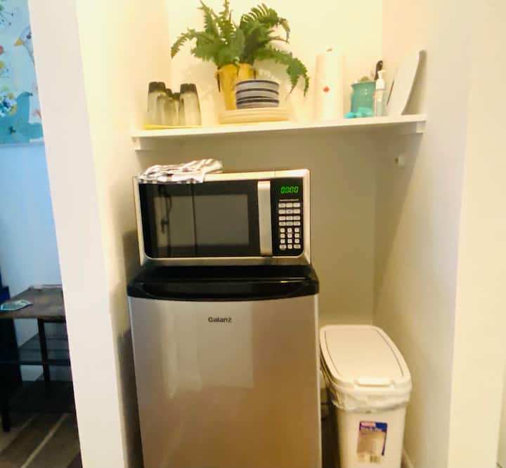 Casa Plumeria- Luxe Guesthouse With King Bed - St. Petersburg, FL