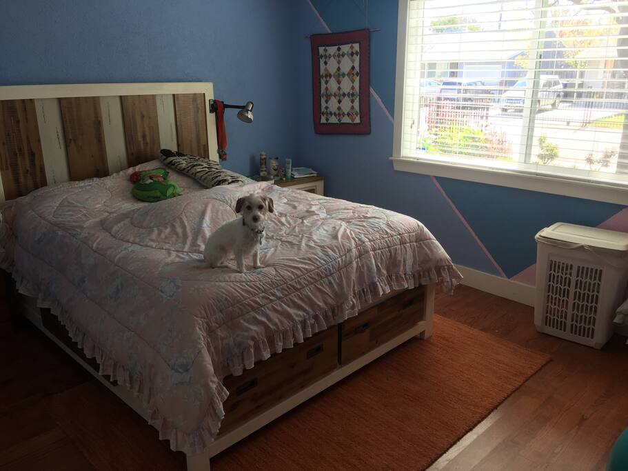 Bigger bedroom, (dog not included).