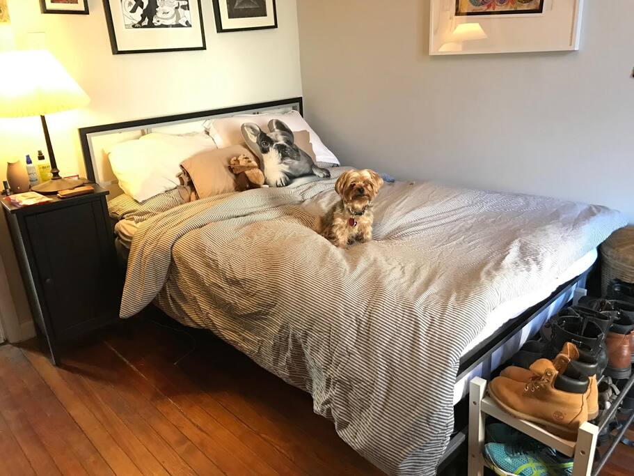 Maya (the house pup) would love to welcome you here to enjoy a cozy bedroom with plenty of room for storage and clothes!