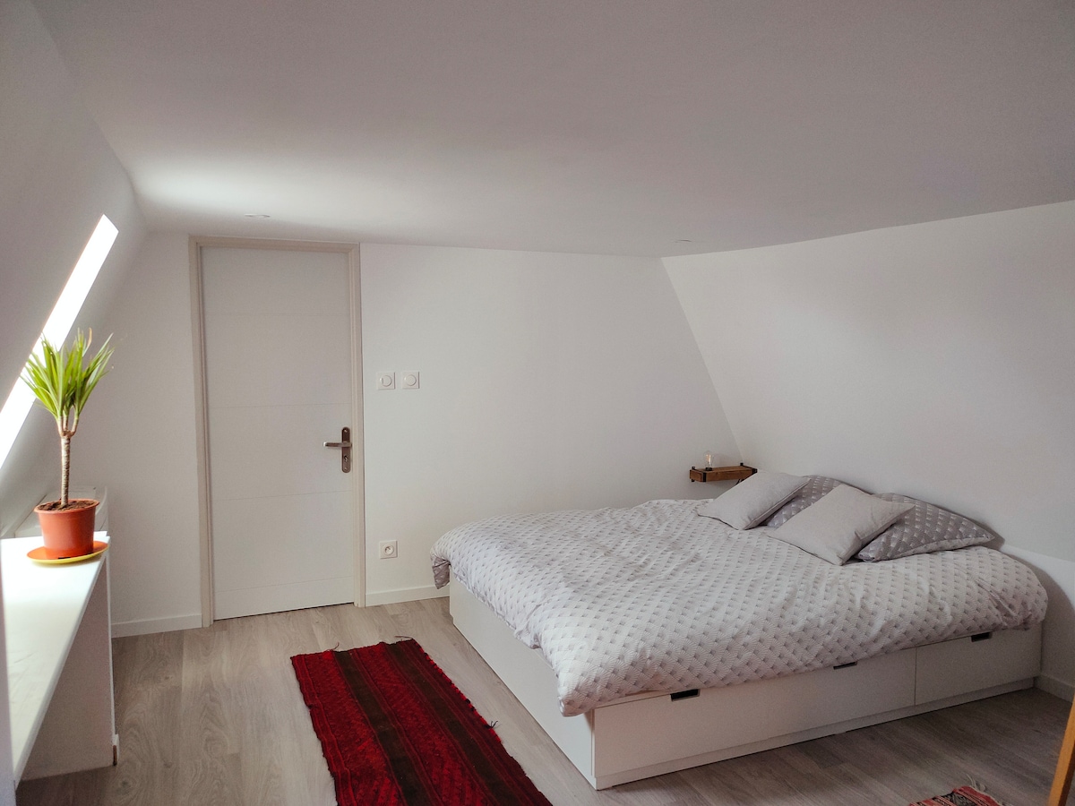 A bright bedroom features a spacious bed with soft bedding and decorative pillows. A small plant sits on a shelf, adding a touch of greenery. Natural light filters in through a slanted window, illuminating the light-colored walls and wooden flooring.