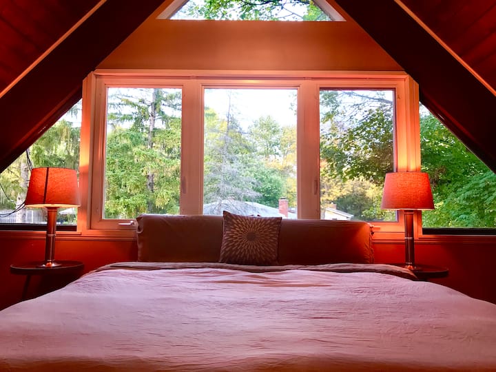 California King (cama de látex de Talalay)... Lo siento, solo arruina otras camas que siguen...