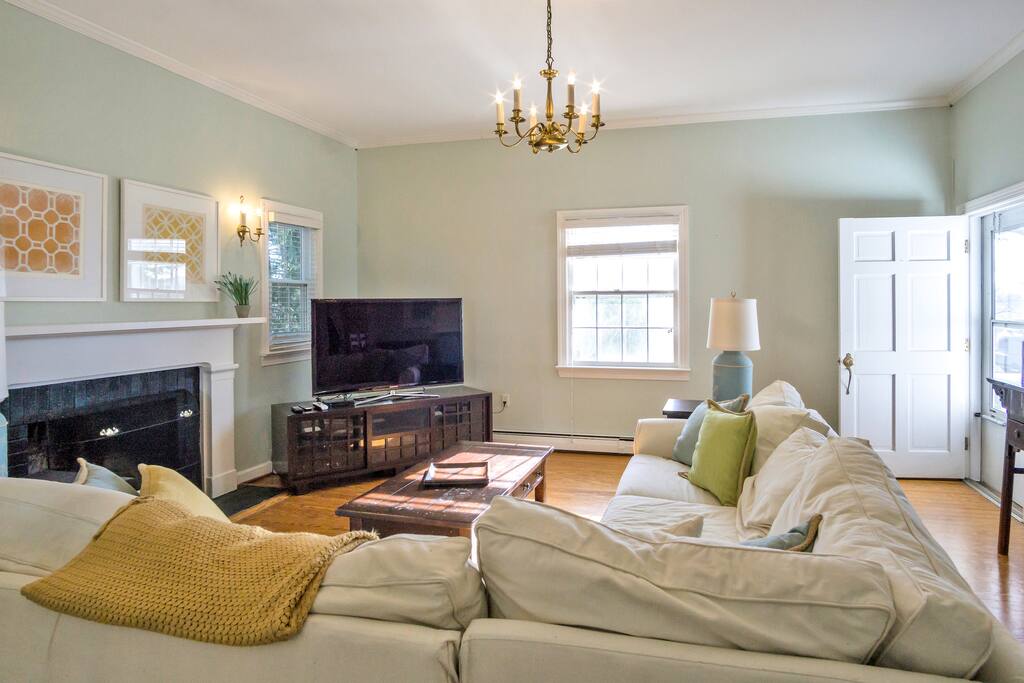 Light-filled Living Room