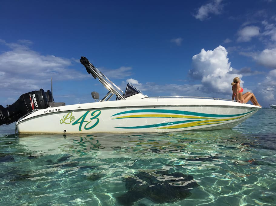 Le Bateau du propriétaire pour votre journée dans le lagon avec les dauphins