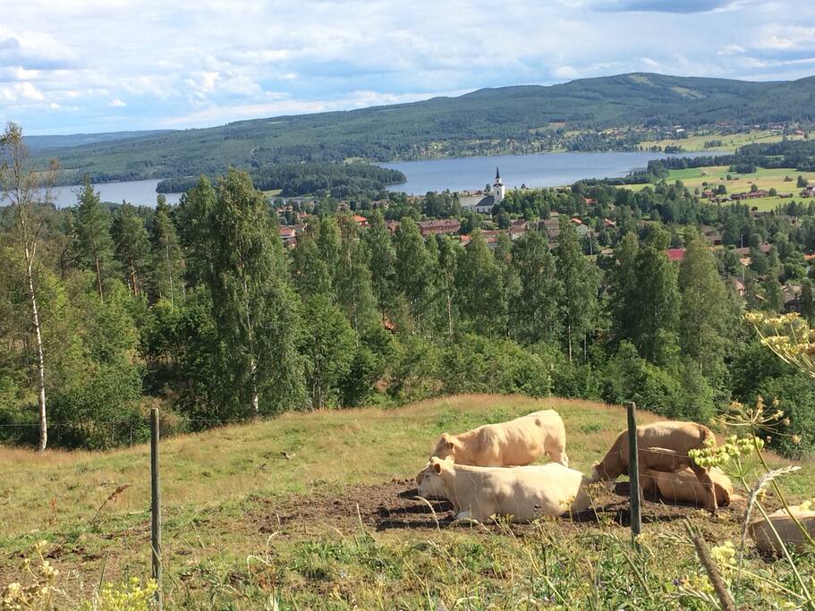 Utsikt från Björkberget i Siljansnäs