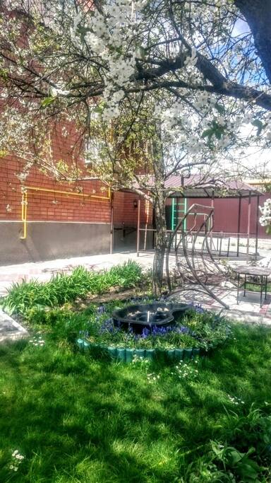 Courtyard.
Territory with a lot of green plants, flowers, in the courtyard there is a recreation area: swimming pool, swings, gazebo, barbecue area - территория с большим количеством зеленых растений, цветов, во дворе есть зона отдыха: бассейн, качели, беседка, зона для барбекю