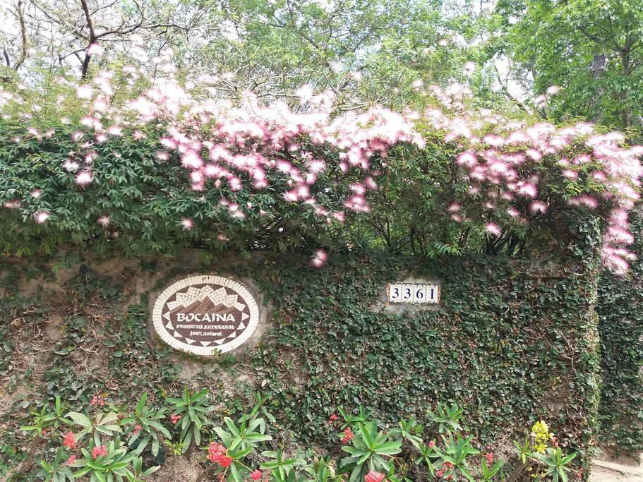 Entrada do sítio