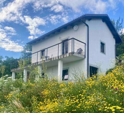 “Moonshine” house