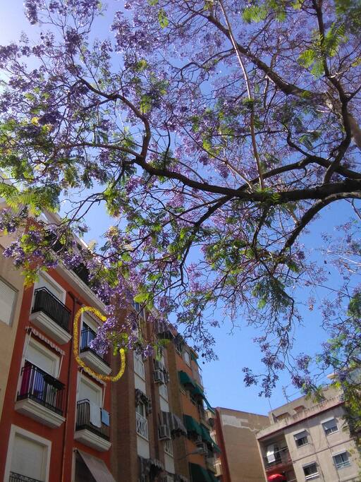 Edificio, apto. en círculo amarillo