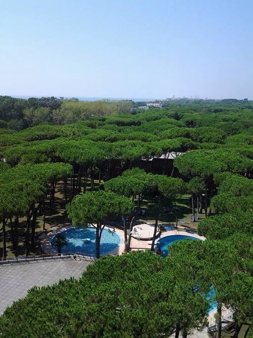 View on the swimming pool