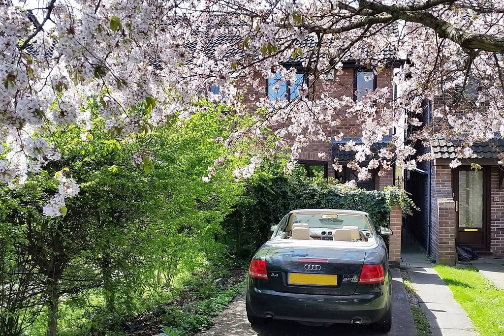 ...in a quiet house with free off-street parking and optional sunshine*...
(*sunshine subject to availability!)